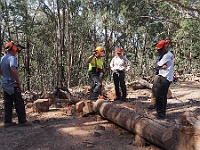 05-Trainer Neil talks about different types of cuts